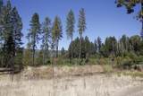 705 Lone Mountain Road - Photo 29