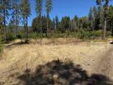 705 Lone Mountain Road - Photo 30