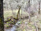 685 King Mountain Trail - Photo 12
