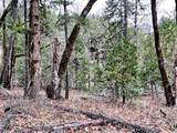 685 King Mountain Trail - Photo 14
