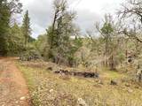 685 King Mountain Trail - Photo 15