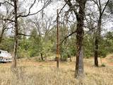685 King Mountain Trail - Photo 6