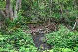 1848 Anderson Creek Road - Photo 51