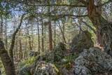 827 Tyler Creek Road - Photo 36