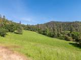 6180 Little Applegate Road - Photo 37