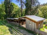 6180 Little Applegate Road - Photo 44