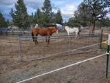 3913 Umatilla Loop - Photo 36