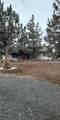 3913 Umatilla Loop - Photo 9