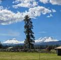 353 Pine Meadow Street - Photo 11