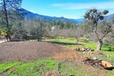 401 Tumbleweed Drive - Photo 45