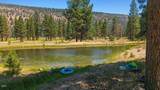 10612 Old Fort - Photo 23
