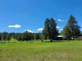 17703 Fishhole Creek - Photo 14