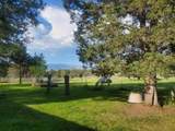 17703 Fishhole Creek - Photo 15