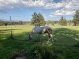 17703 Fishhole Creek - Photo 16