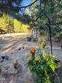 52070 Elderberry Lane - Photo 17