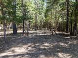 1281 Pinnon Road - Photo 11