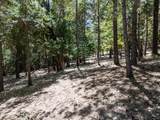 1281 Pinnon Road - Photo 12