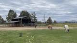4799 Williams Road - Photo 52