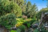21062 Desert Woods Drive - Photo 49