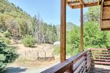 2231 Humbug Creek Road - Photo 39