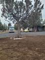 3913 Umatilla Loop - Photo 31