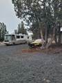 3913 Umatilla Loop - Photo 32