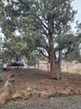 3913 Umatilla Loop - Photo 33