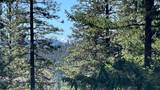5225 Sterling Creek Road - Photo 134