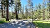 5225 Sterling Creek Road - Photo 135