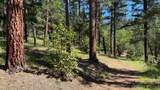 5225 Sterling Creek Road - Photo 139