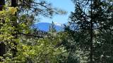 5225 Sterling Creek Road - Photo 141
