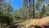 5225 Sterling Creek Road - Photo 142