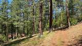 5225 Sterling Creek Road - Photo 143
