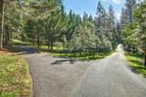 5225 Sterling Creek Road - Photo 35