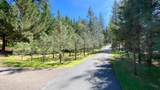 5225 Sterling Creek Road - Photo 36