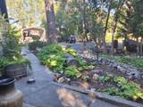 1275 4th Avenue - Photo 48