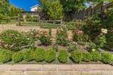 219 Pine Street - Photo 43