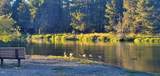 55618 Snow Goose Road - Photo 10