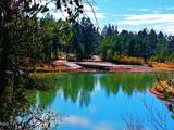 55618 Snow Goose Road - Photo 13