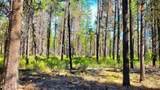 55618 Snow Goose Road - Photo 4