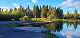 55618 Snow Goose Road - Photo 7