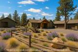 70163 Longhorn Drive - Photo 9