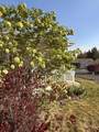 2394 Crocus Way - Photo 33
