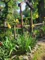 645 California Street - Photo 11