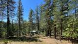 5225 Sterling Creek Road - Photo 144