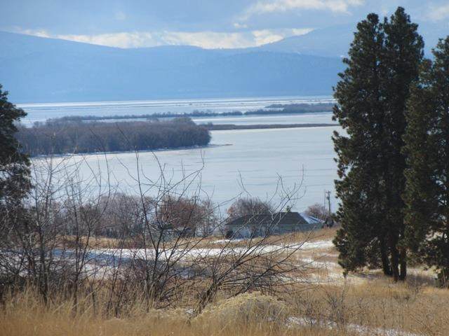 0 Pleasant View - Photo 1