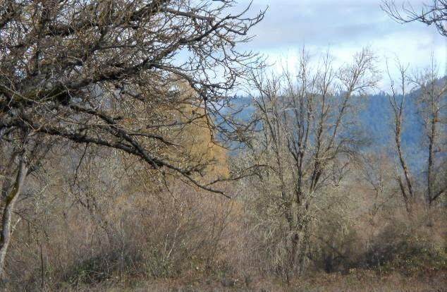 6775 Williams Highway - Photo 1 6775 Williams Highway - Photo 1