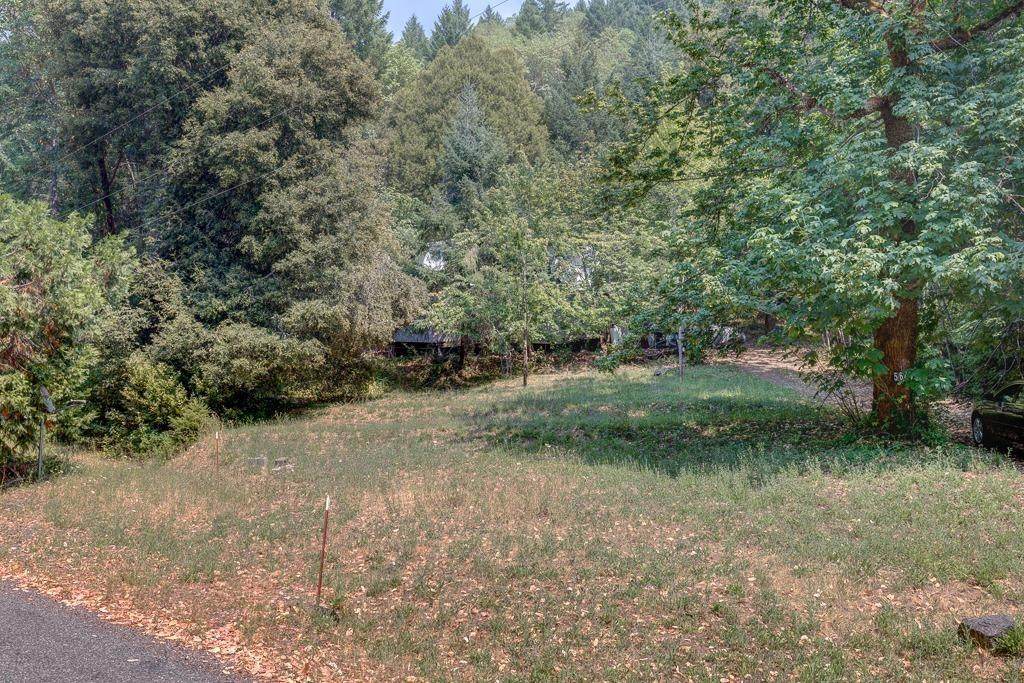 5645 Thompson Creek Road - Photo 1