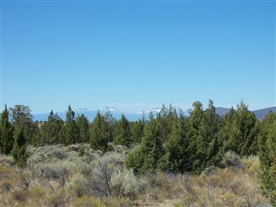 0 Cree Road - Photo 1