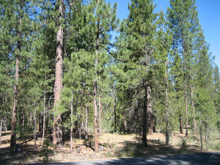 53513 Brookie Way, La Pine, OR 97739 (MLS #201304588) :: Birtola Garmyn High Desert Realty